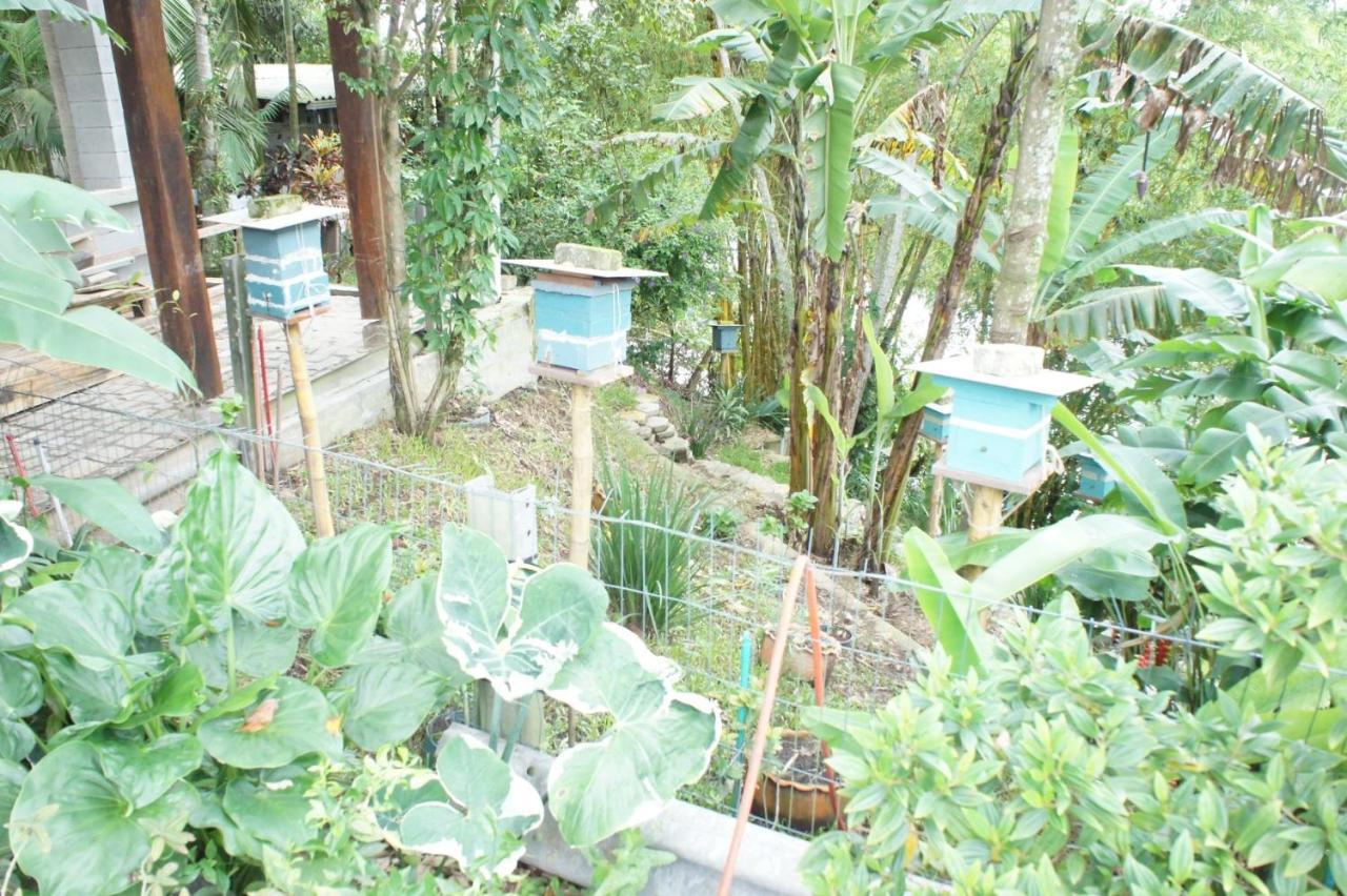 Hotel Naturalis Paranagua Ngoại thất bức ảnh